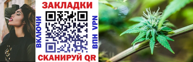 Где купить Светогорск Alpha-PVP  Меф мяу мяу  Амфетамин  МЕГА ONION  COCAIN  ГАШ  Каннабис 