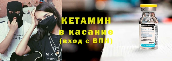 трава Ельня