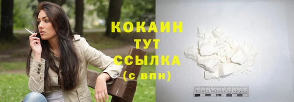 трава Ельня