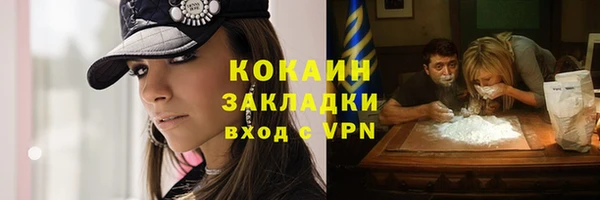 трава Ельня
