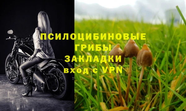 трава Ельня