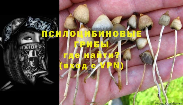 прущий лед Елабуга