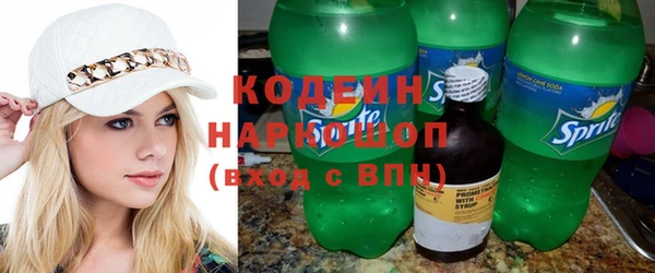 трава Ельня