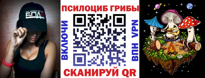 купить наркоту  Светогорск  KRAKEN ССЫЛКА  Псилоцибиновые грибы мицелий 